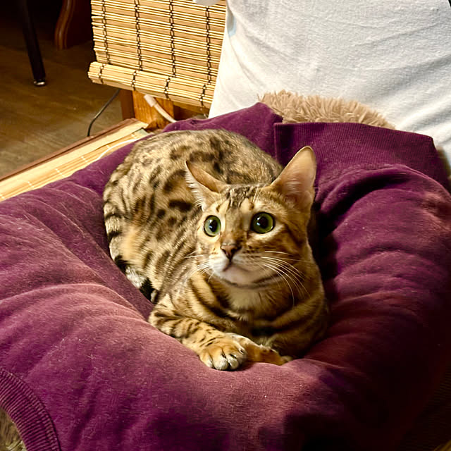 tututu0204さんの部屋