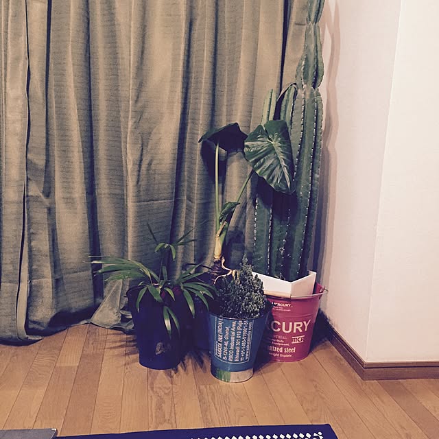 jahpanさんの実例写真