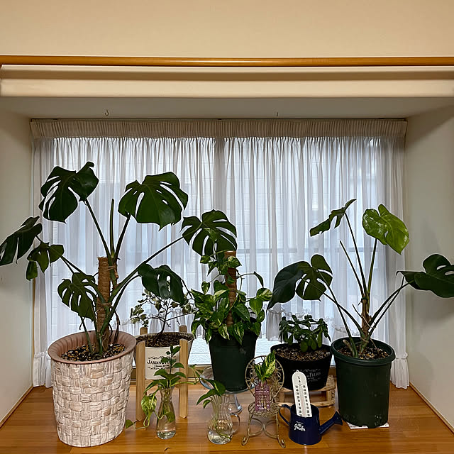 kakoさんの実例写真