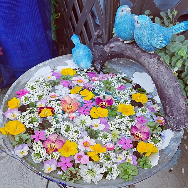 mocomocoさんの実例写真