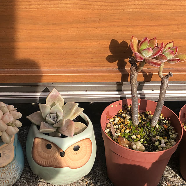 haruminさんの部屋