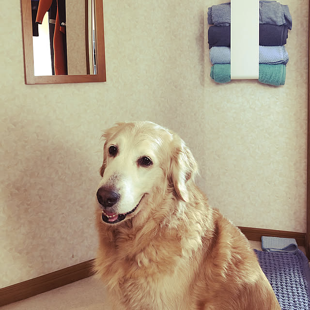sunskysurfsandさんの実例写真