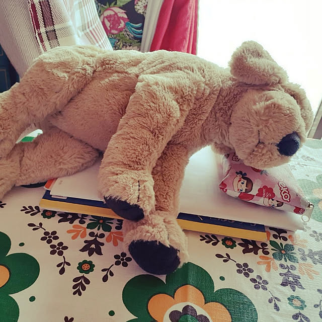 kumutanさんの実例写真