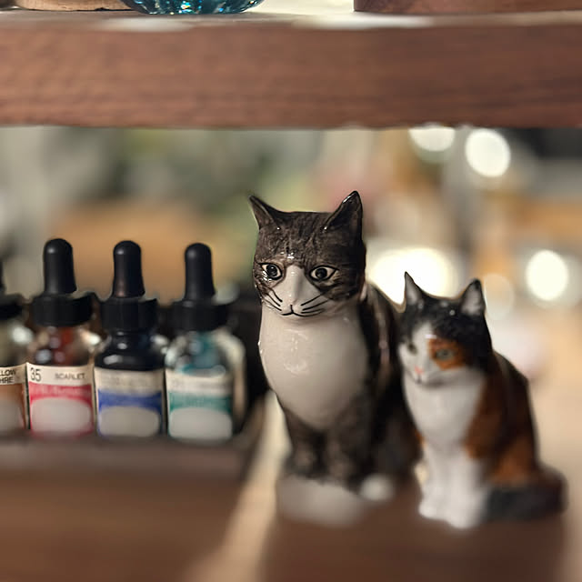 puffloveさんの部屋