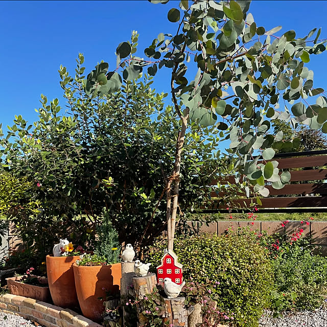 ronronさんの部屋