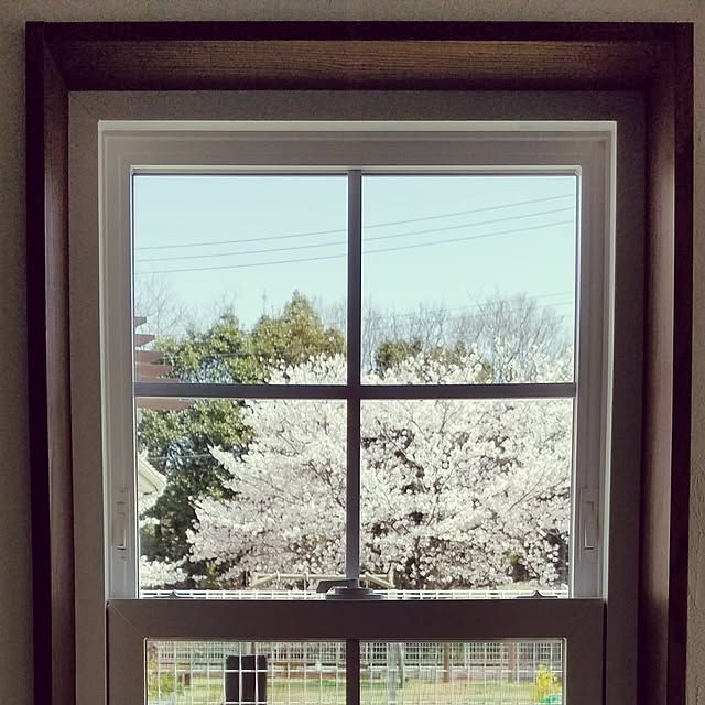 chtsさんの実例写真