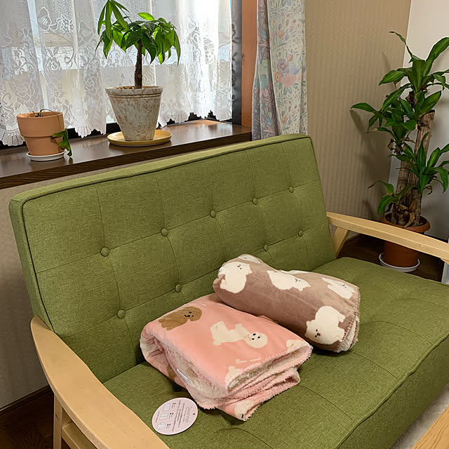 cyaroさんの実例写真