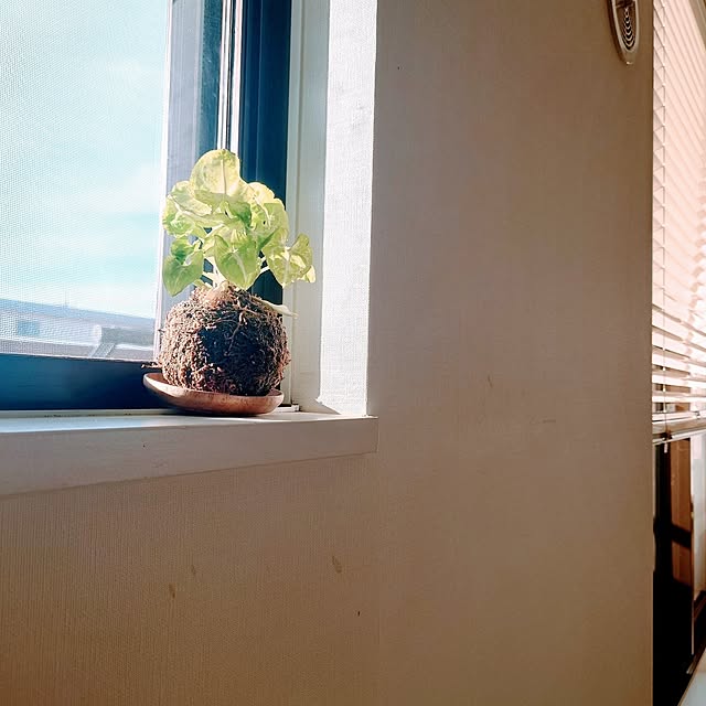 karinさんの実例写真