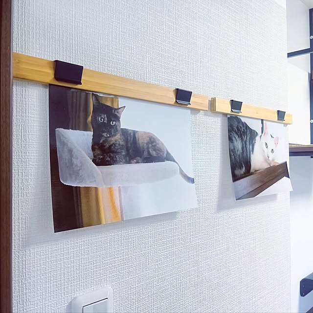 hirukumaさんの実例写真