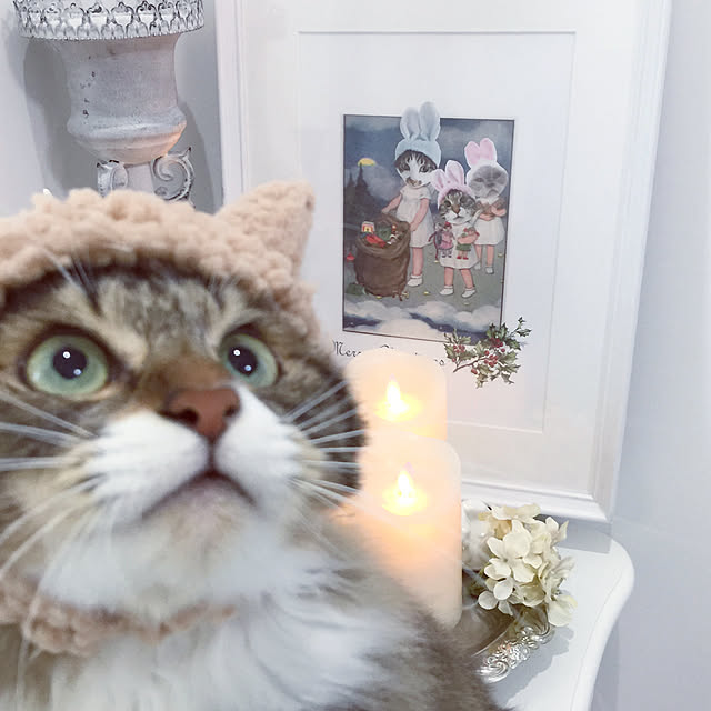 yuchiさんの実例写真