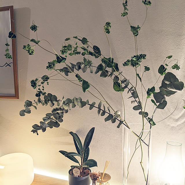 mi-mamさんの実例写真