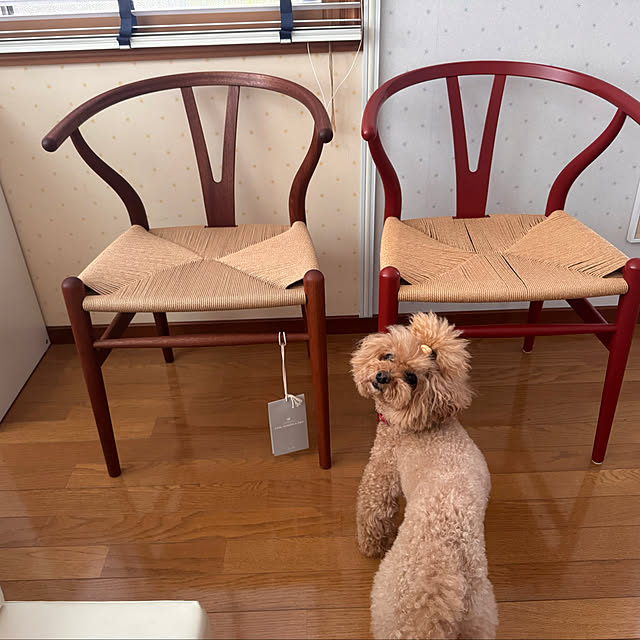 chaimomさんの部屋