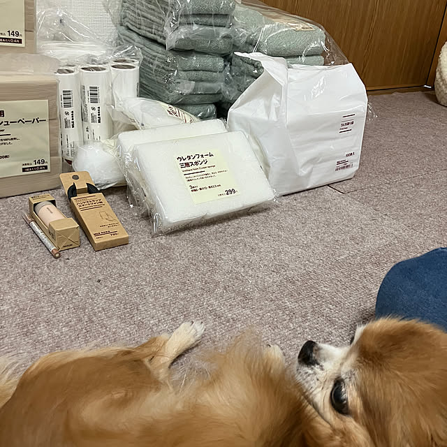 koroさんの部屋