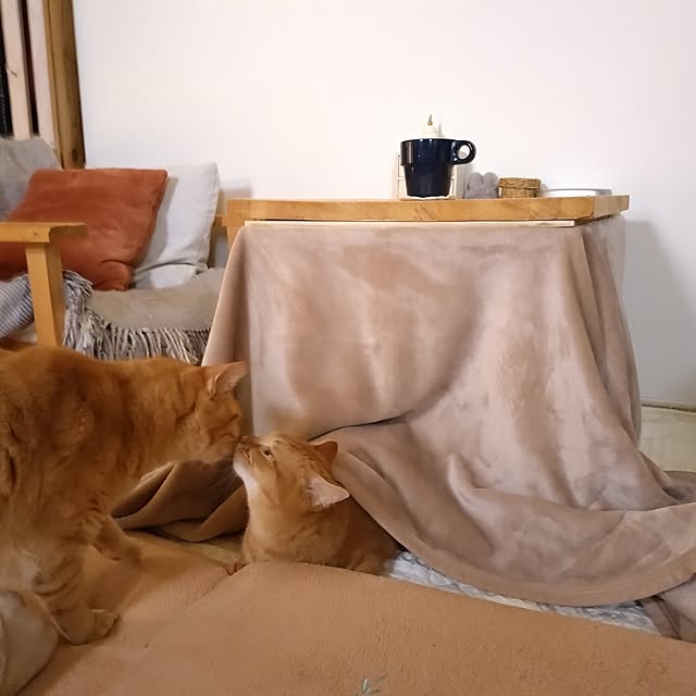 mayutan.さんの実例写真