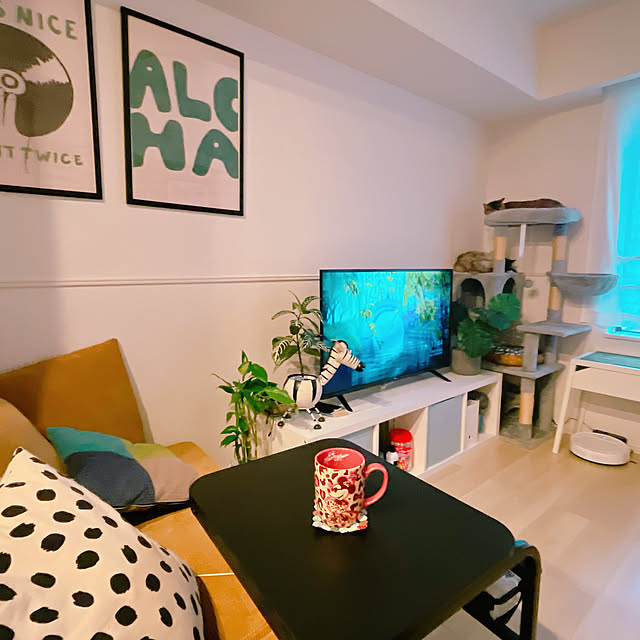 cocoさんの部屋