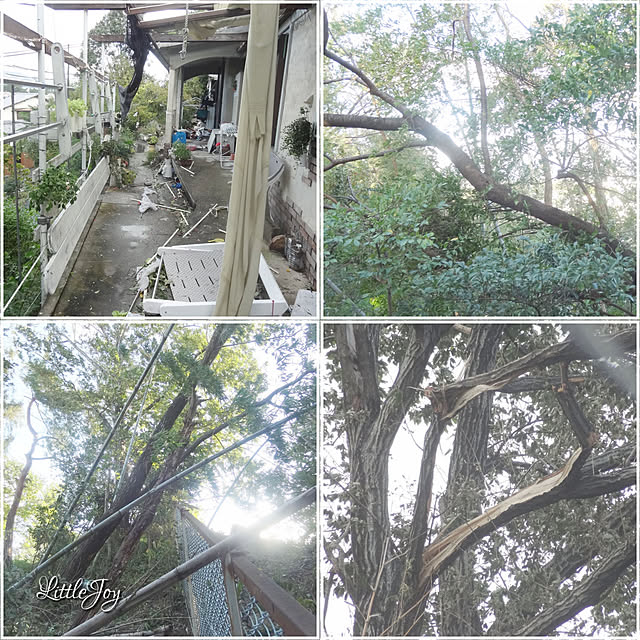 littlejoyさんの実例写真