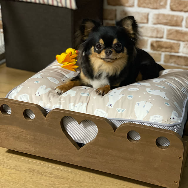 pasapastrustさんの実例写真