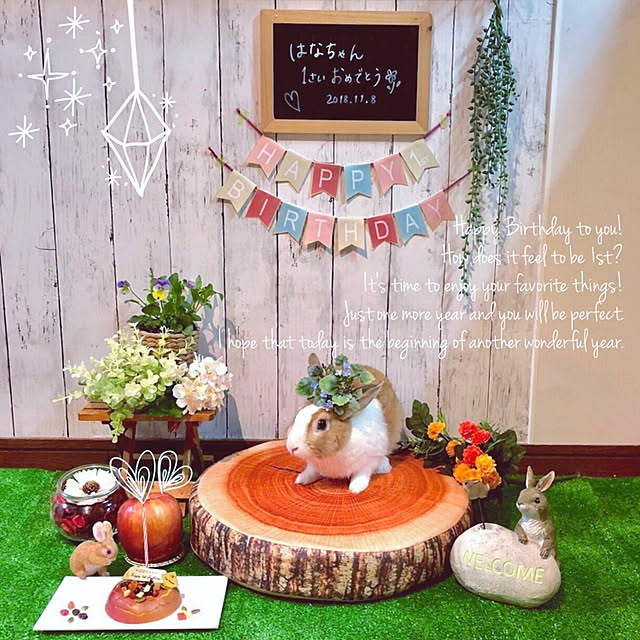 muuさんの実例写真