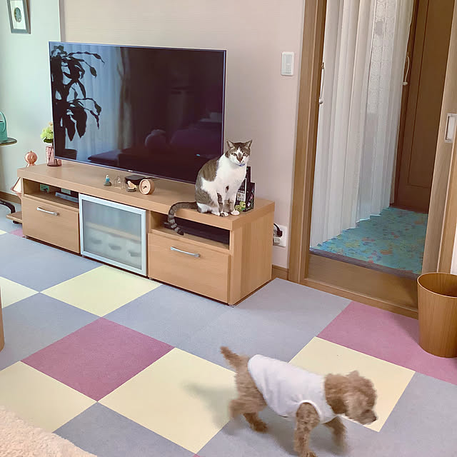 haruminさんの部屋