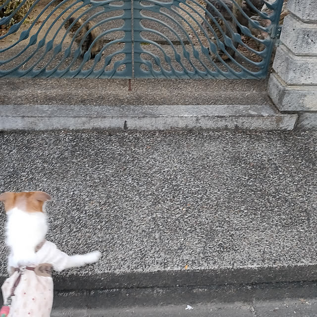 marosukeさんの実例写真