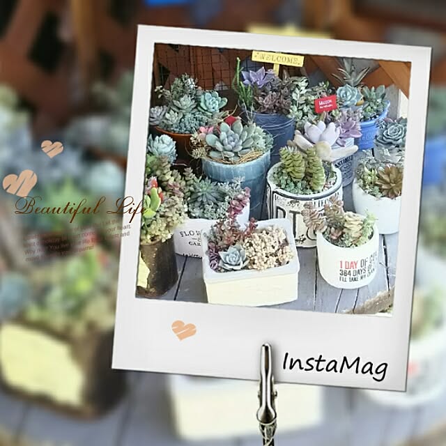 LittleMyさんの実例写真