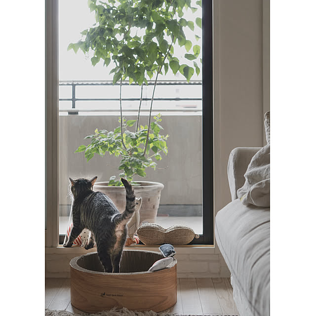 oliveさんの部屋