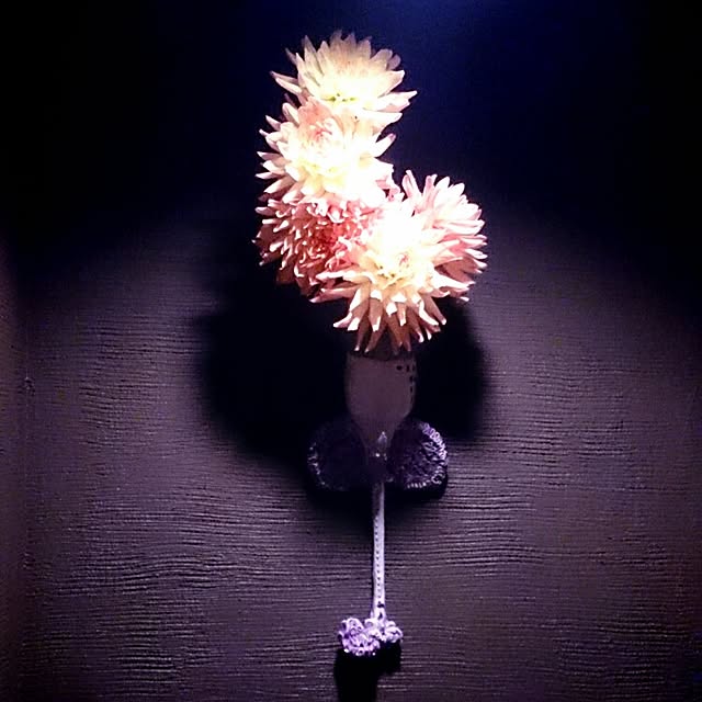 Gravityさんの実例写真