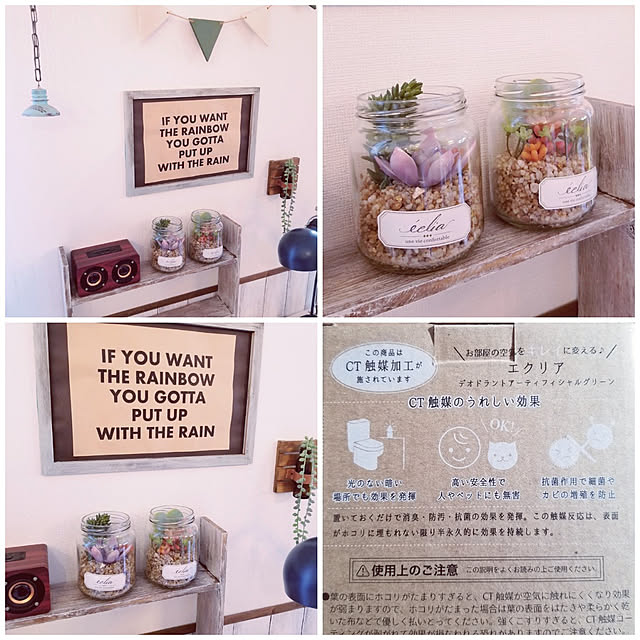 Mikaさんの実例写真