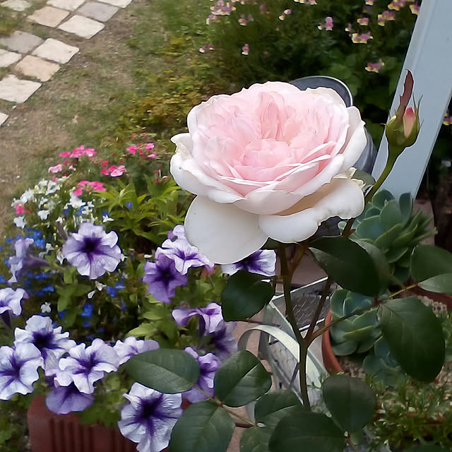 mariagardenさんの実例写真