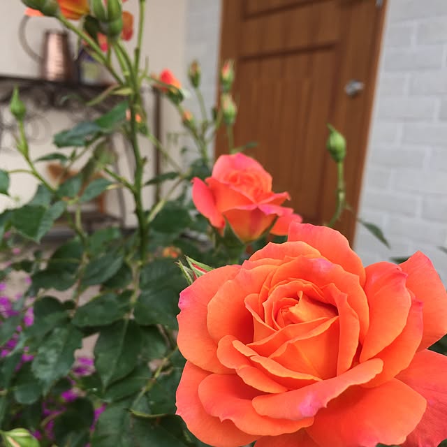 dijieさんの実例写真