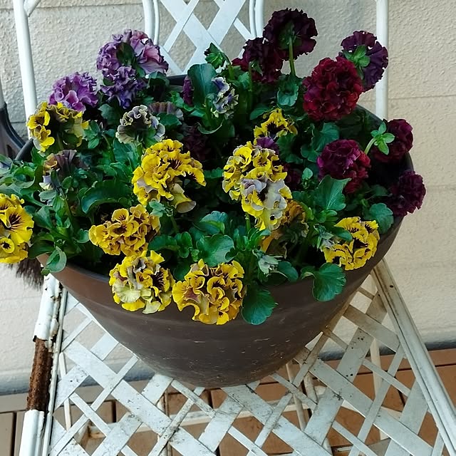 showさんの部屋