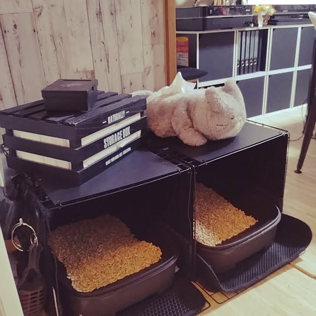 runaさんの部屋