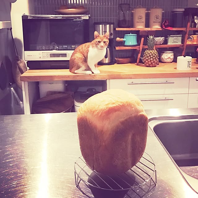 y.さんの実例写真