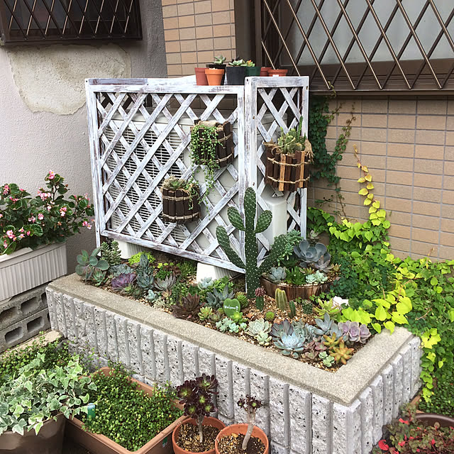 fujiさんの実例写真
