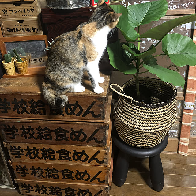 vivienne.coco-keiさんの実例写真