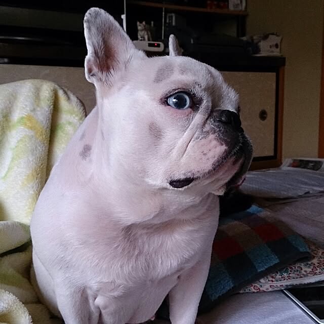 jejejeさんの実例写真