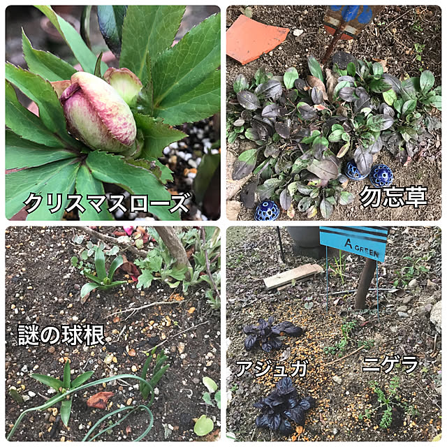 bibianさんの実例写真