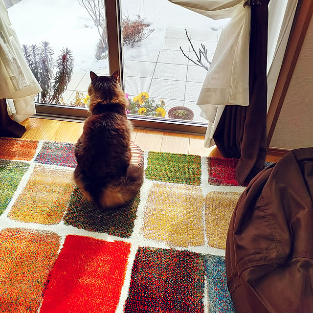 sayan_0321さんの実例写真