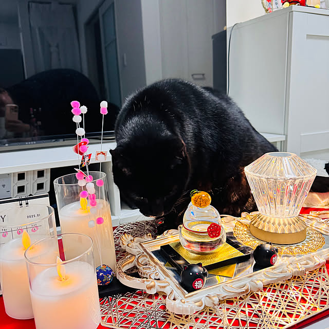 harukuumomiさんの部屋