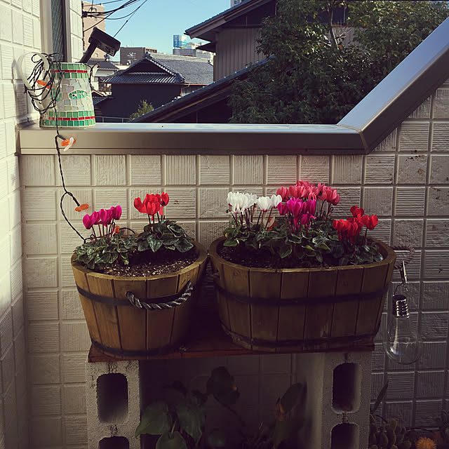 sasaさんの実例写真