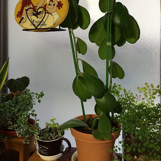 mikikoさんの実例写真