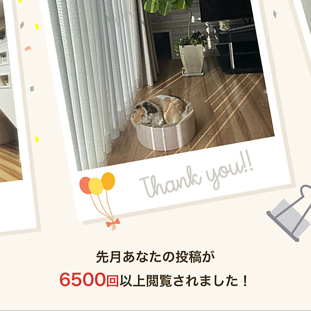 Kaorinさんの実例写真