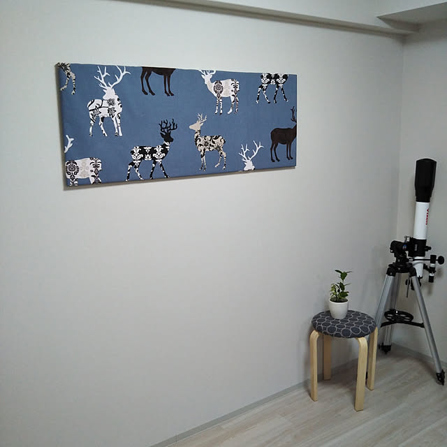 mayt.sirさんの実例写真