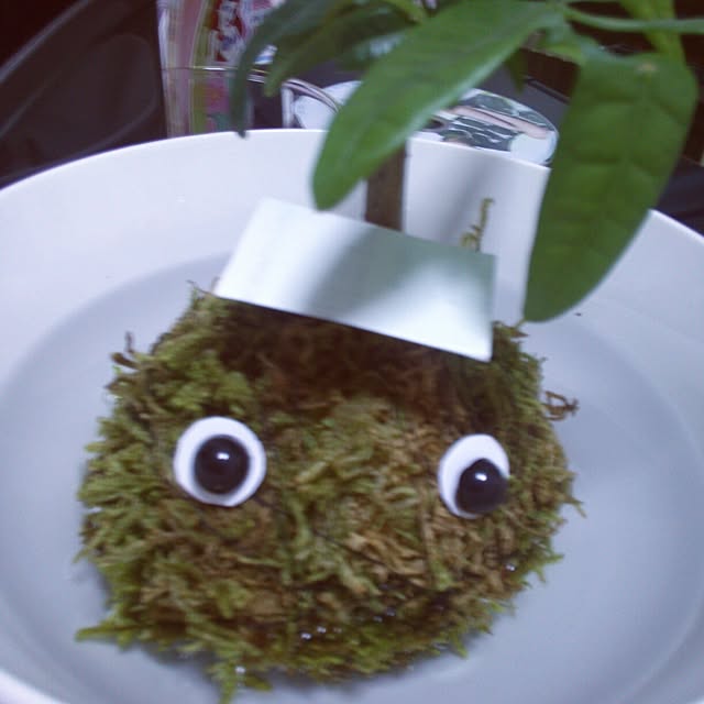 arikoさんの実例写真