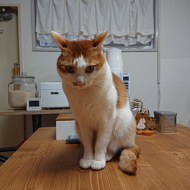 mugi77327732さんの実例写真