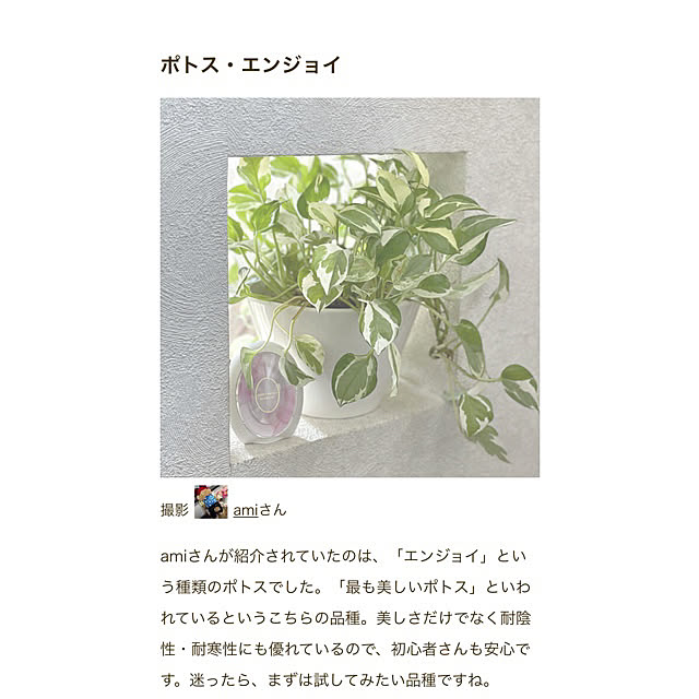 amiさんの実例写真