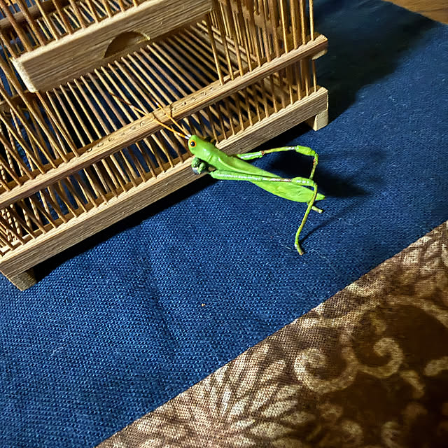 sakakenさんの部屋