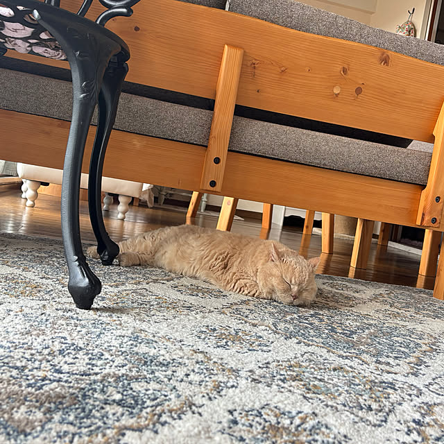 naokoさんの部屋