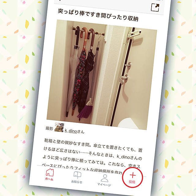 k_dinoさんの実例写真