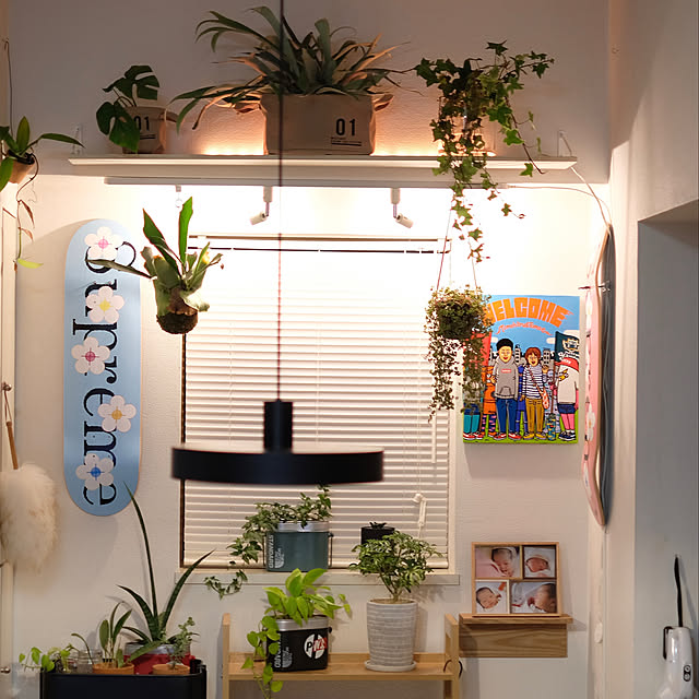 chise_houseさんの実例写真
